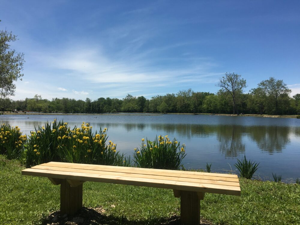 Old Reid Park Fishing Ponds