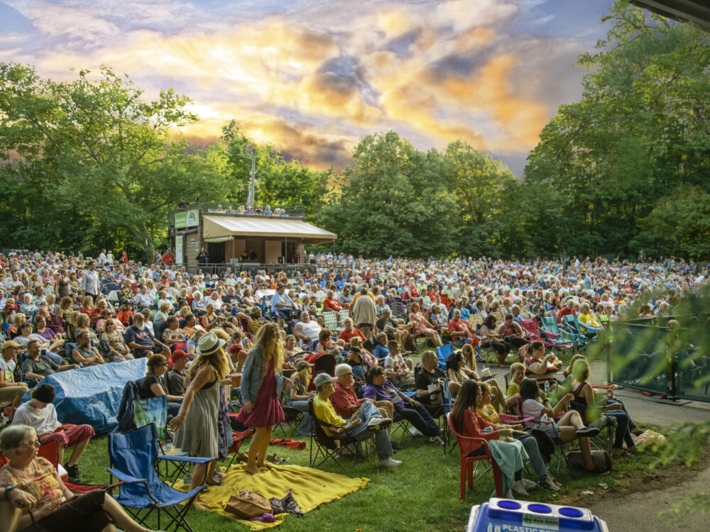 Summer Arts Festival Veterans Park 2